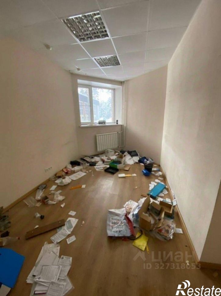 Офис Речкуновский пер, 1,  д. 1