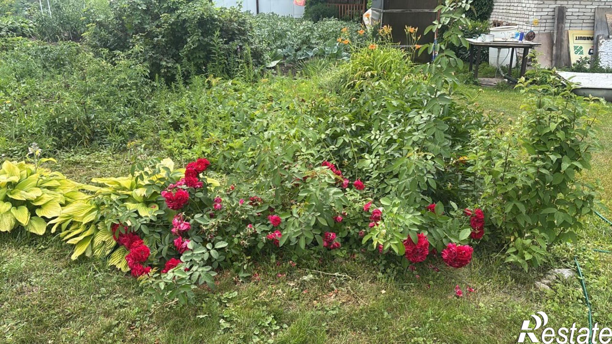 Купить дачу, дом, коттедж за 2 500 000 рублей на СНТ Вега-3