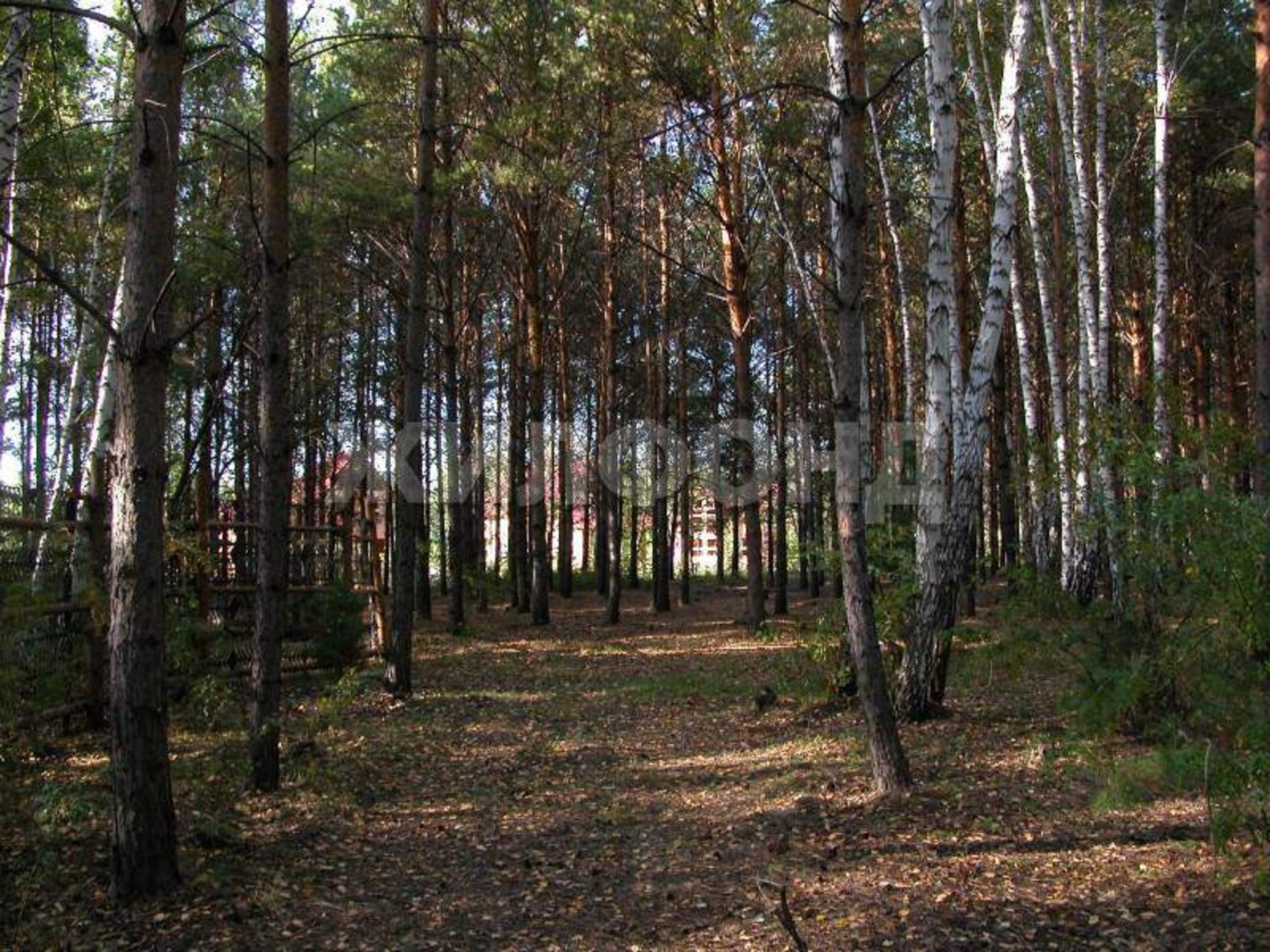 Купить землю, земельный участок за 2 700 000 рублей на СНТСН Приозерный территория
