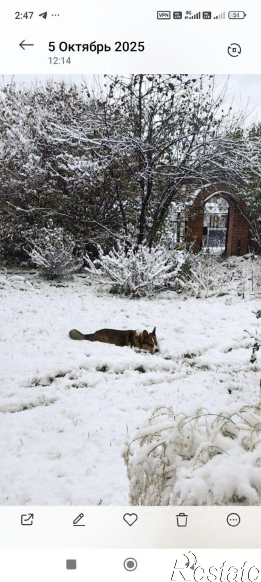 Купить дачу, дом, коттедж за 4 590 000 рублей