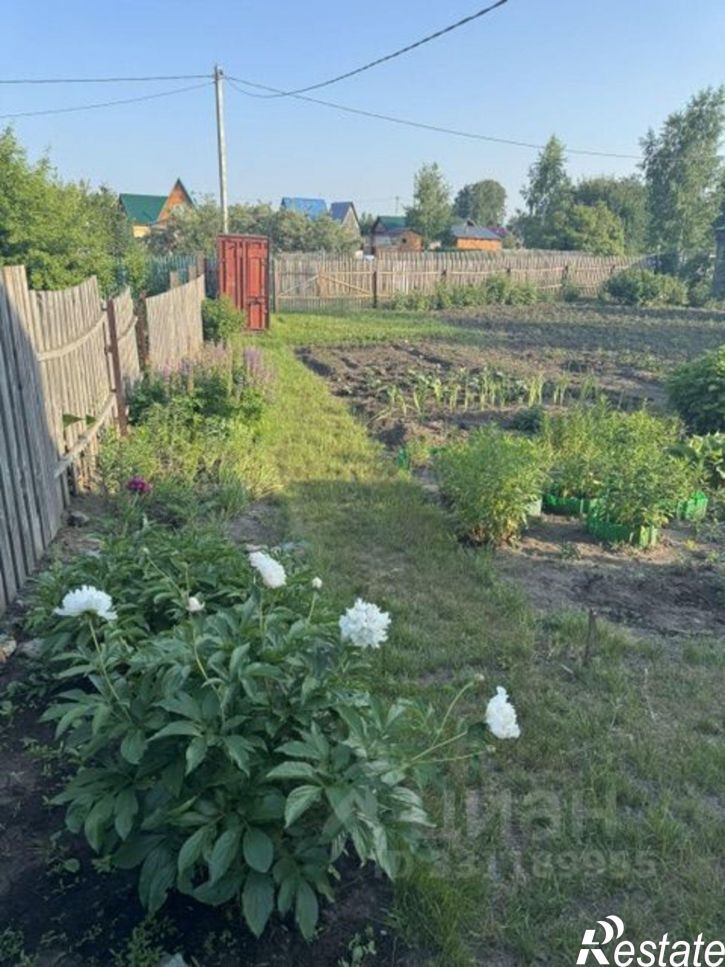 Коттедж/дом СНТ Ива