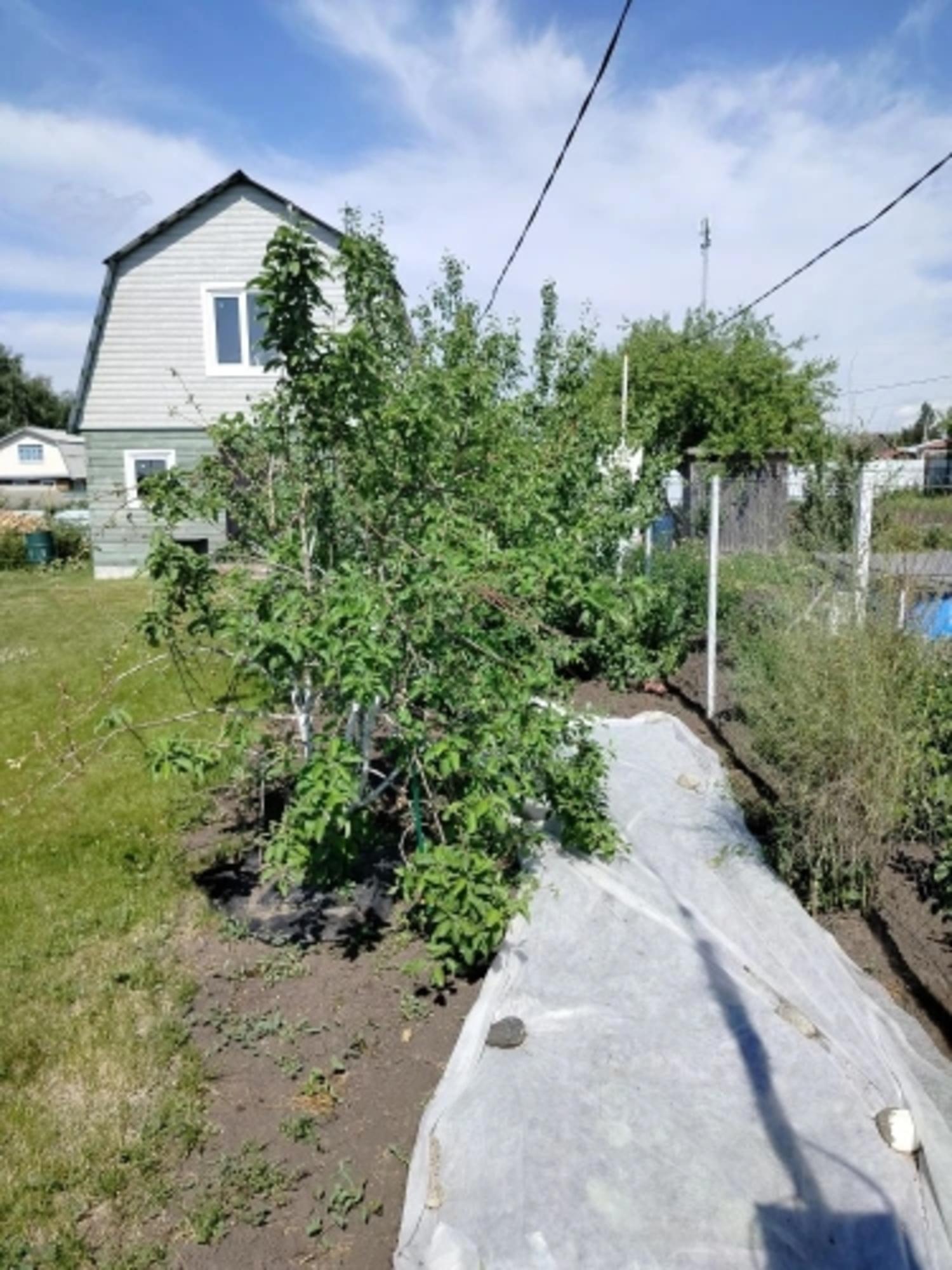 Купить дачу, дом, коттедж за 1 500 000 рублей на Нет улицы