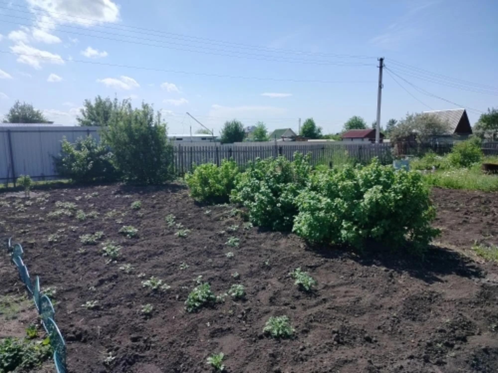 Купить дачу, дом, коттедж за 1 500 000 рублей на Нет улицы