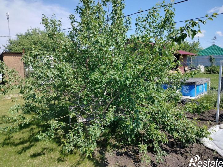 Коттедж/дом СНТ Отрадное
