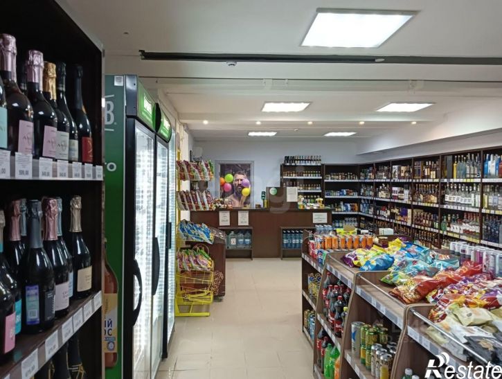 Торговое помещение ул Ленина, 13В,  д. 13В