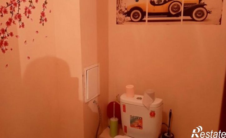 2-комн квартира ул Красная Сибирь, 98,  д. 98