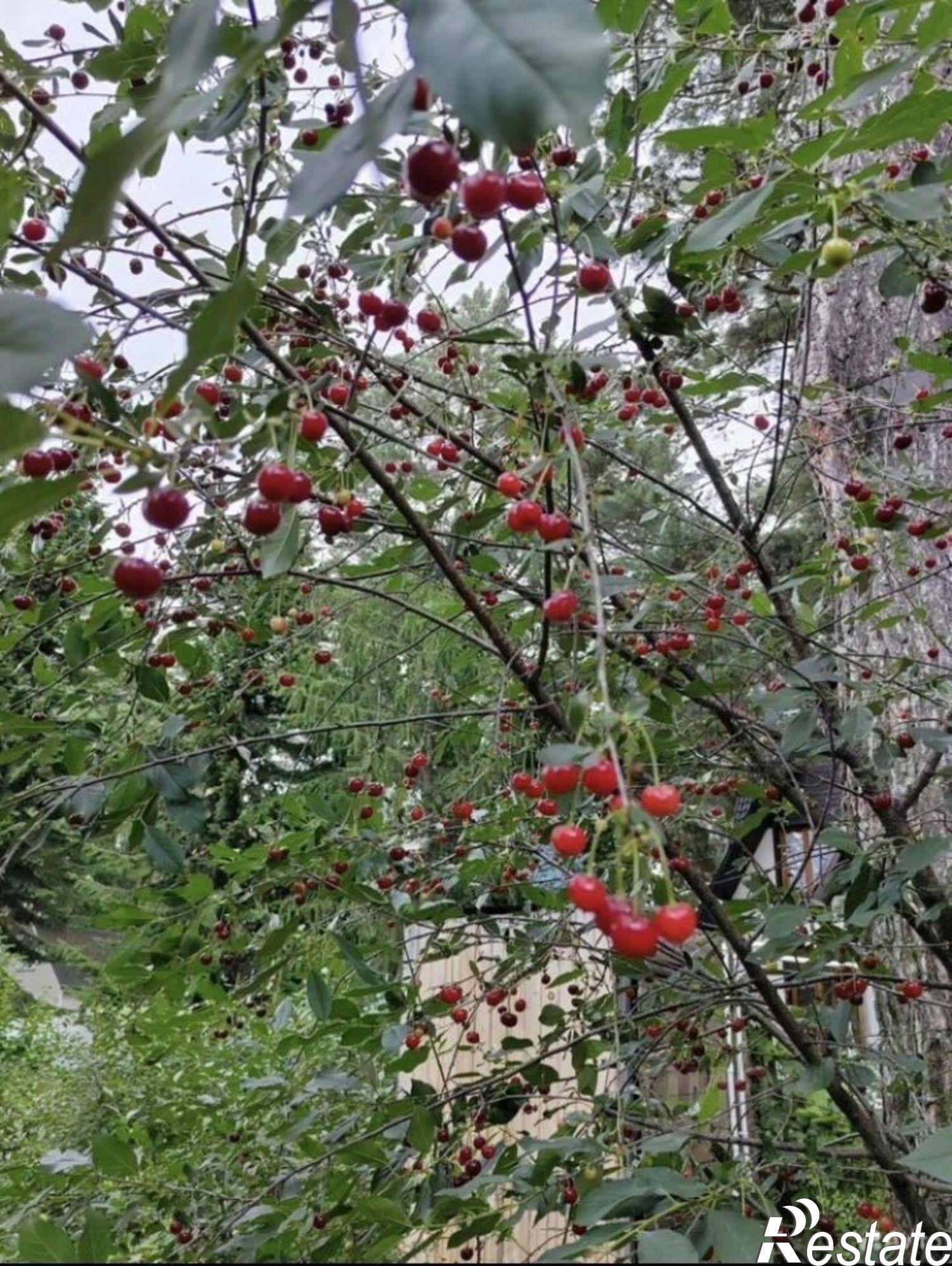 Купить дачу, дом, коттедж за 5 000 000 рублей на ул Пирогова, 6