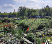 коттедж 36 кв м Линейная улица, д.2-я