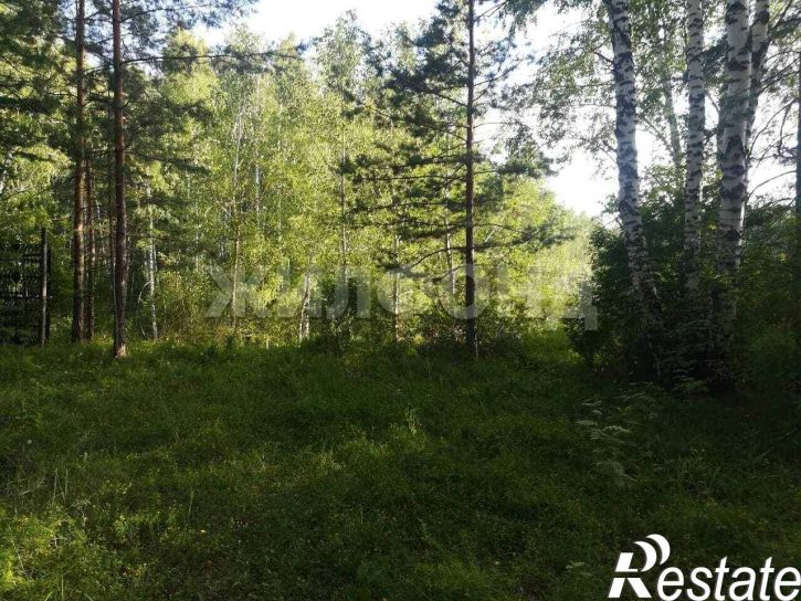Земельный участок СНТСН Приозерный территория